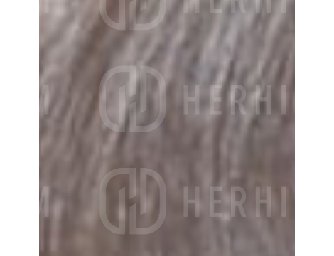 VERSUM EASY TECH profesjonalna trwała farba do włosów 100 ml | 11.10 - 2